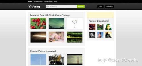 外国媒体爆料视频素材,外国媒体曝光的震撼视频幕后真相  第3张