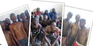 私人奴隶在线观看,私人奴隶在线观看现象深度剖析 第1张 私人奴隶在线观看,私人奴隶在线观看现象深度剖析 第1张